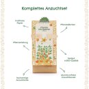 Anzuchtset – Minigarten BIO-Physalis