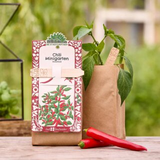 Anzuchtset – Minigarten BIO-Chili