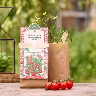 Anzuchtset – Minigarten BIO-Wildtomate