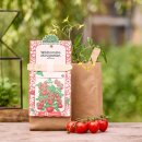 Anzuchtset – Minigarten BIO-Wildtomate