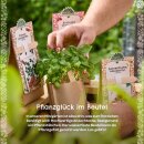 Anzuchtset – Minigarten BIO-Wildtomate