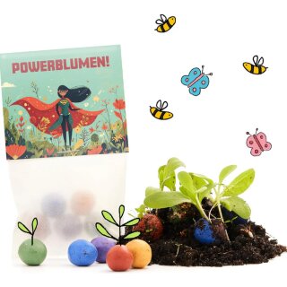 5 Blumenmurmeln im Tütchen – Powerblumen