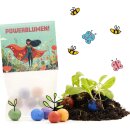 5 Blumenmurmeln im Tütchen – Powerblumen